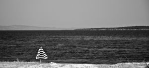 IMG_0340_resize_resize.jpg